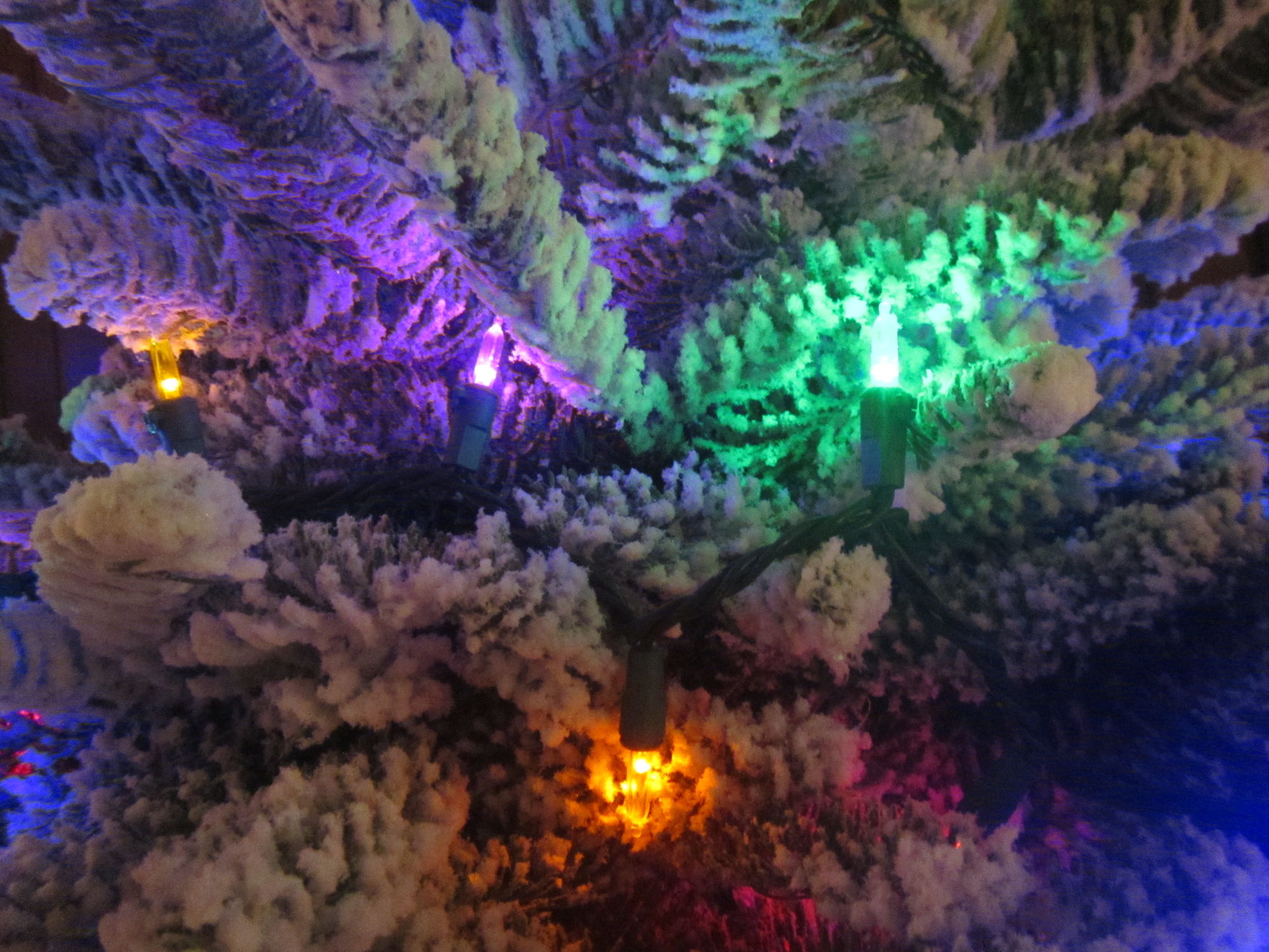 xmas-tree-lights.jpg
